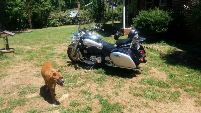 Bushy Fork Park - Hurdle Mills, NC