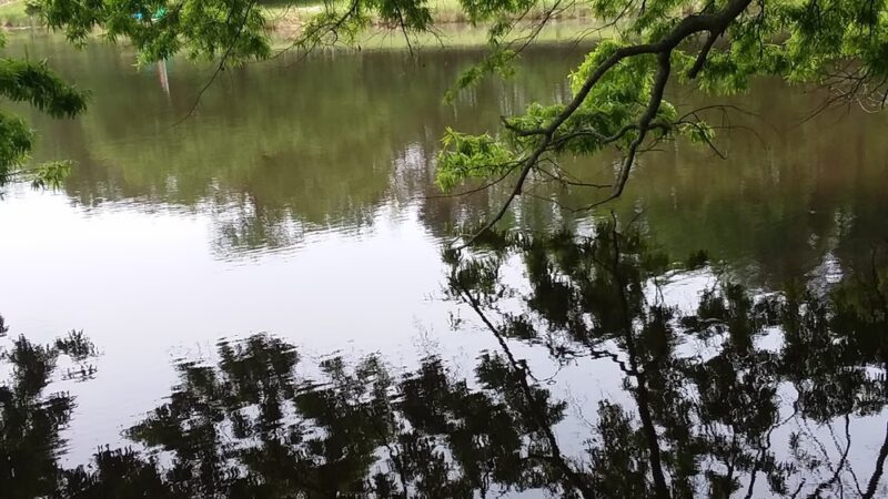 Hurdle Mills Park - Hurdle Mills, NC