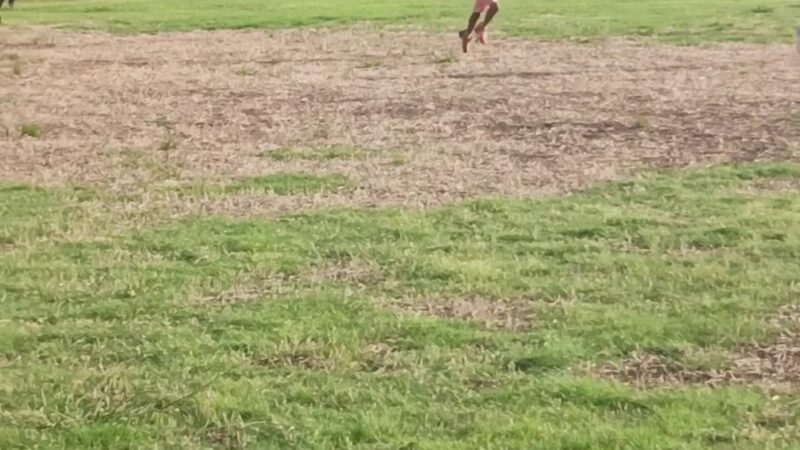 Campbell Park - Hutchins, TX