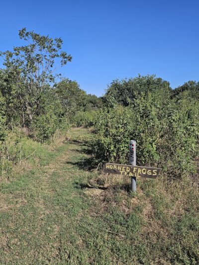 Horned Frogs Trailhead - Hutchins, TX