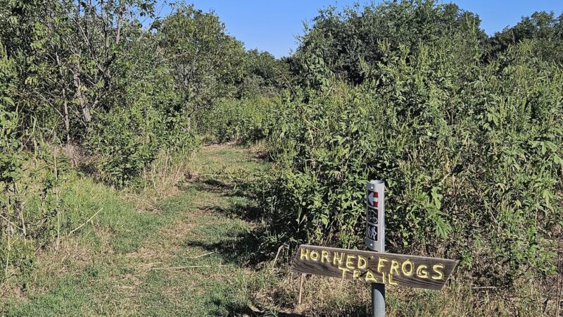 Horned Frogs Trailhead - Hutchins, TX
