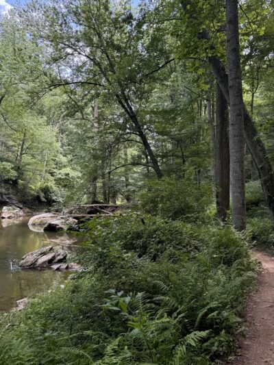 Bottom Rd Steel Bridge LGP White Trail - Hydes, MD