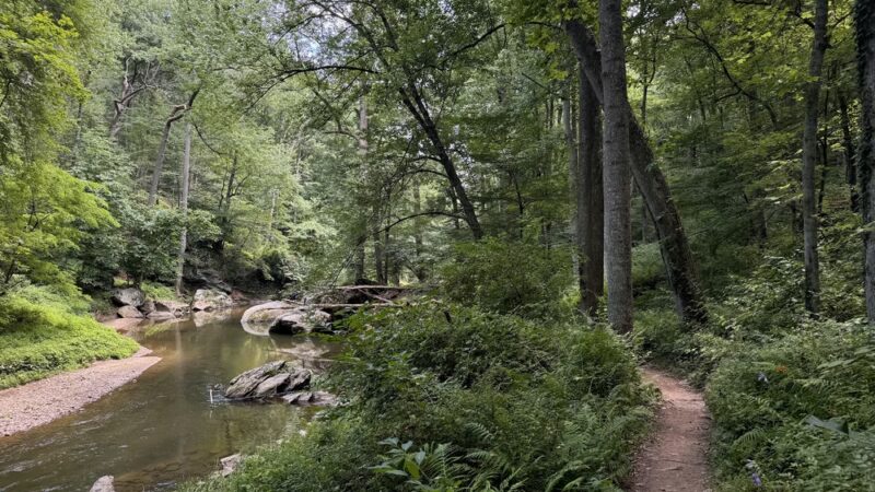 Bottom Rd Steel Bridge LGP White Trail - Hydes, MD
