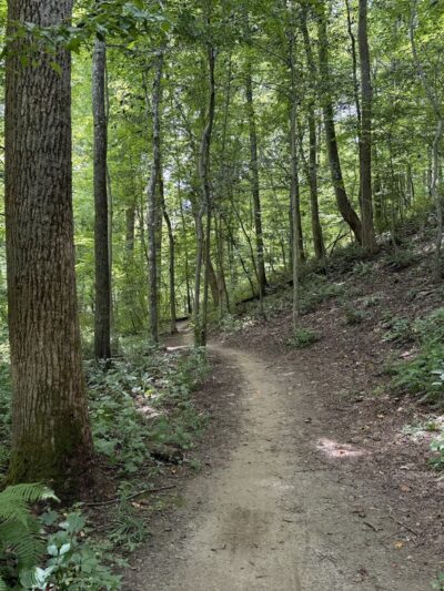Bottom Rd Steel Bridge LGP White Trail - Hydes, MD