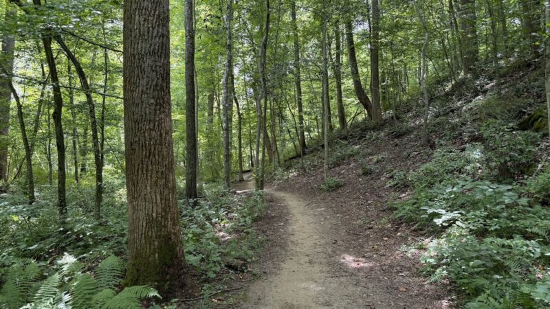 Bottom Rd Steel Bridge LGP White Trail - Hydes, MD