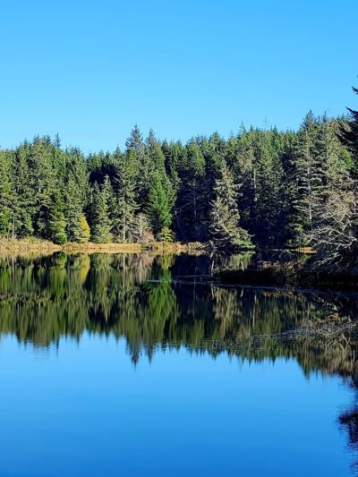 Black Lake Park - Ilwaco, WA