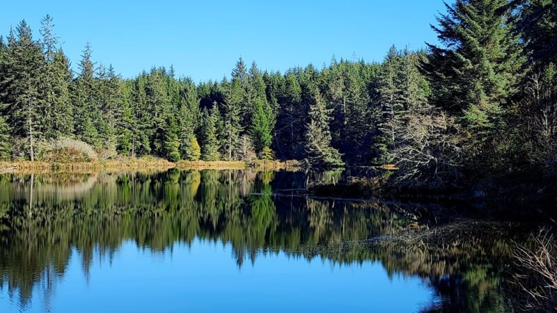 Black Lake Park - Ilwaco, WA
