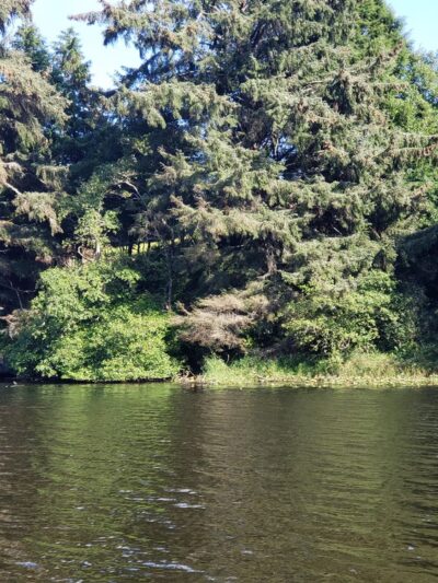Black Lake Park - Ilwaco, WA