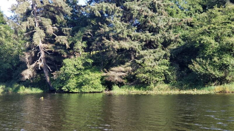 Black Lake Park - Ilwaco, WA