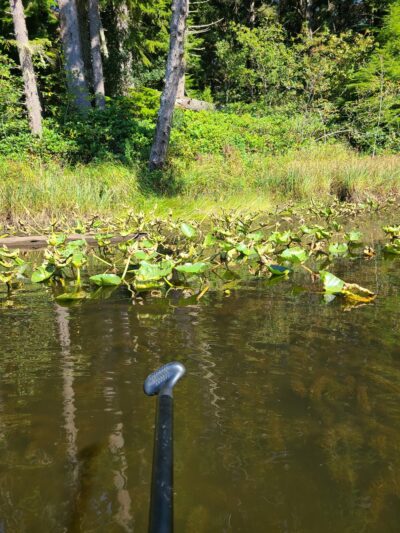 Black Lake Park - Ilwaco, WA