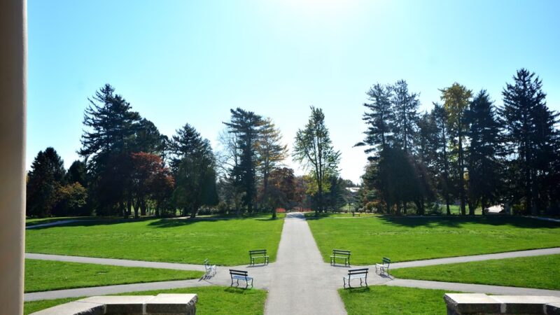 Immaculata University - IMMACULATA, PA