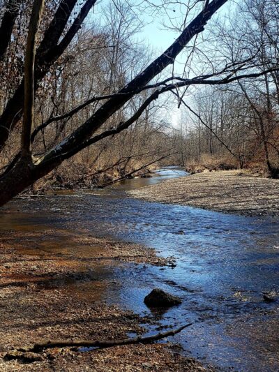 Spring Branch Trail - Imperial, MO