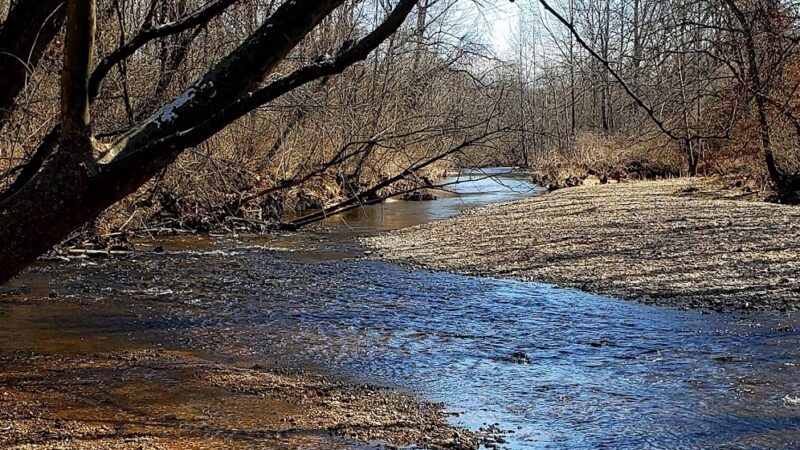 Spring Branch Trail - Imperial, MO