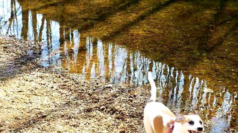 Spring Branch Trail - Imperial, MO