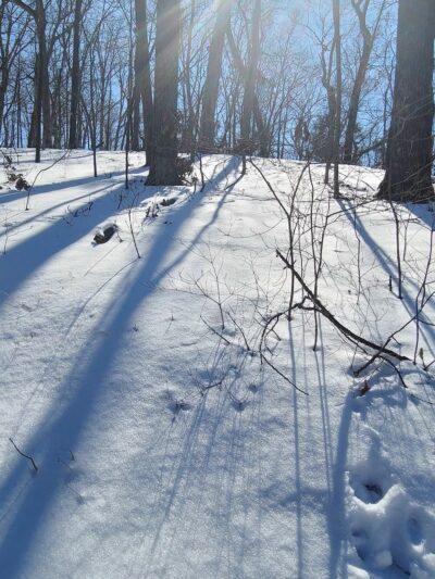 Spring Branch Trail - Imperial, MO