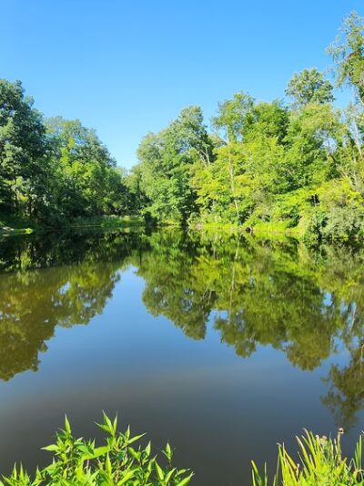 Leopold Lake Park - Imperial, PA