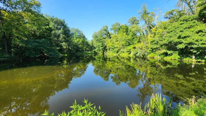 Leopold Lake Park - Imperial, PA