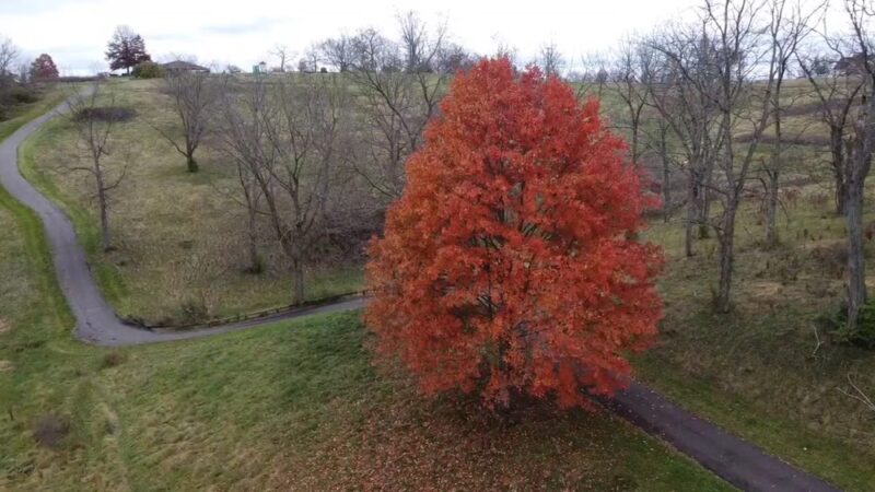 Fox Run Park - Independence, KY