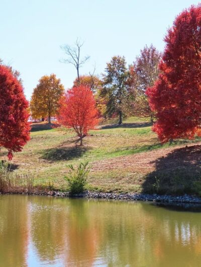 Fox Run Park - Independence, KY