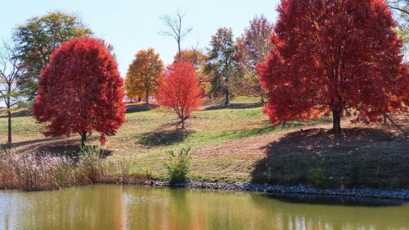 Fox Run Park - Independence, KY