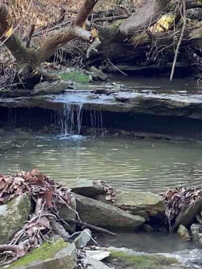 Sterling Staggs Park - Independence, KY