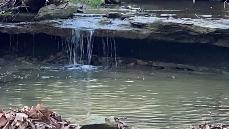 Sterling Staggs Park - Independence, KY