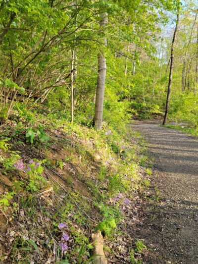 Sterling Staggs Park - Independence, KY