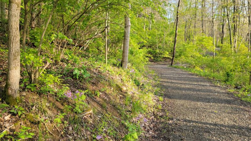 Sterling Staggs Park - Independence, KY