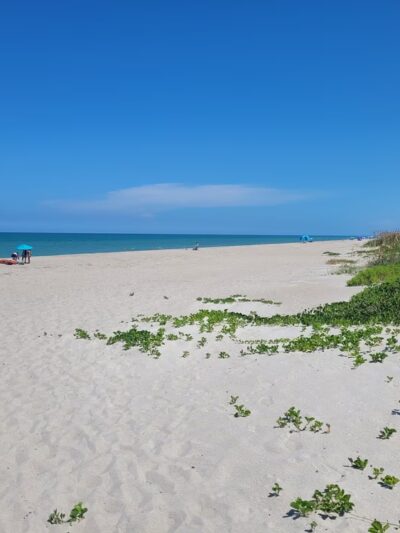 Indialantic Beach/across from Longdoggers - Indialantic, FL