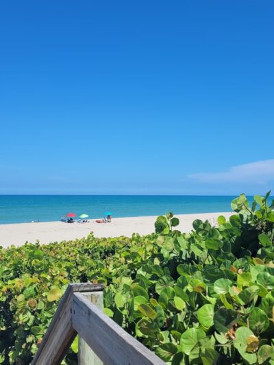 Indialantic Beach/across from Longdoggers - Indialantic, FL