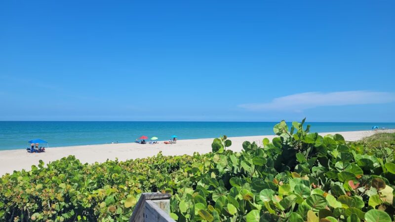 Indialantic Beach/across from Longdoggers - Indialantic, FL