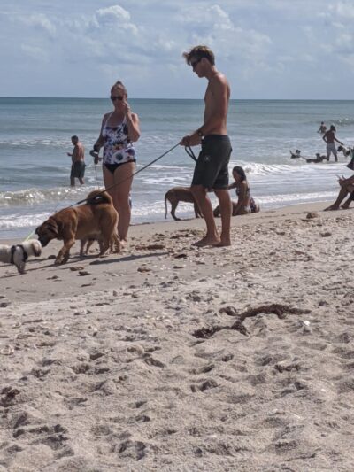 Canova Beach Park - Indian Harbour Beach, FL