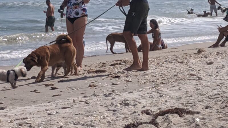 Canova Beach Park - Indian Harbour Beach, FL