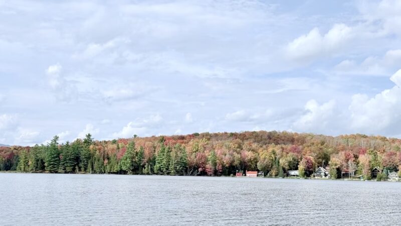 Adirondack Lake Cabins - Indian Lake, NY