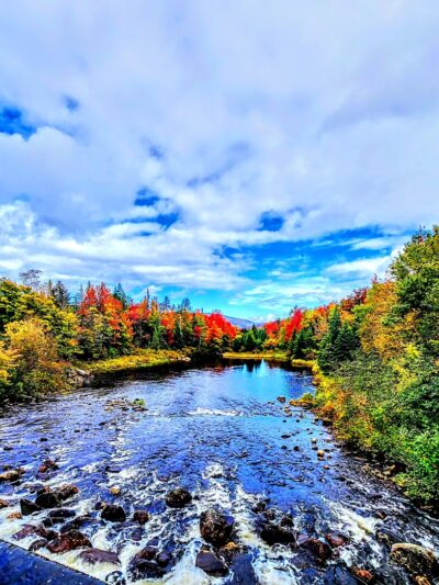 Cedar River Campsites - Indian Lake, NY