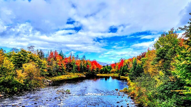 Cedar River Campsites - Indian Lake, NY