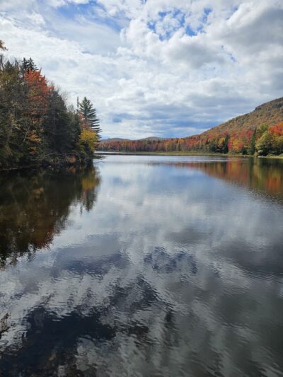 Cedar River Campsites - Indian Lake, NY