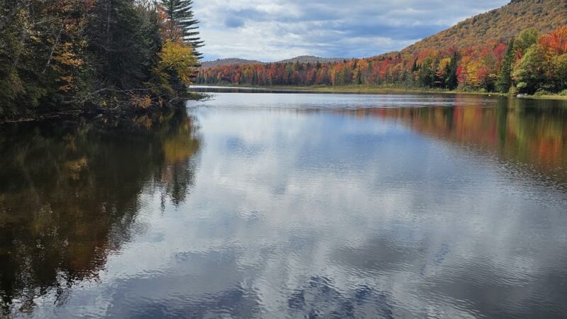 Cedar River Campsites - Indian Lake, NY