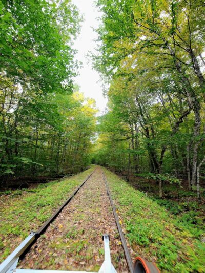 Hudson Gorge Wilderness - Indian Lake, NY
