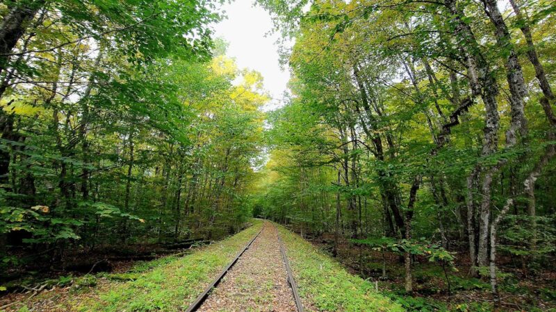 Hudson Gorge Wilderness - Indian Lake, NY
