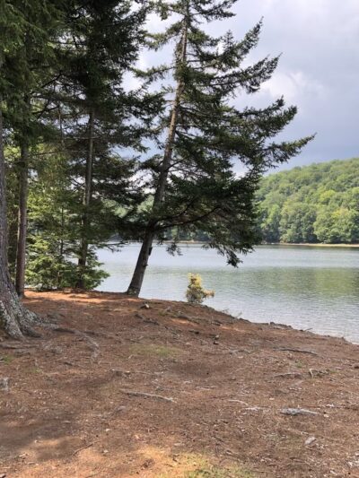 Indian Lake Islands Campground - Campsite # 31 - Indian Lake, NY