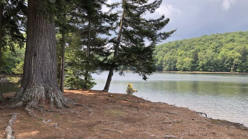Indian Lake Islands Campground - Campsite # 31 - Indian Lake, NY