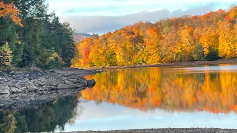 Indian Lake Islands Campground - Campsite # 31 - Indian Lake, NY