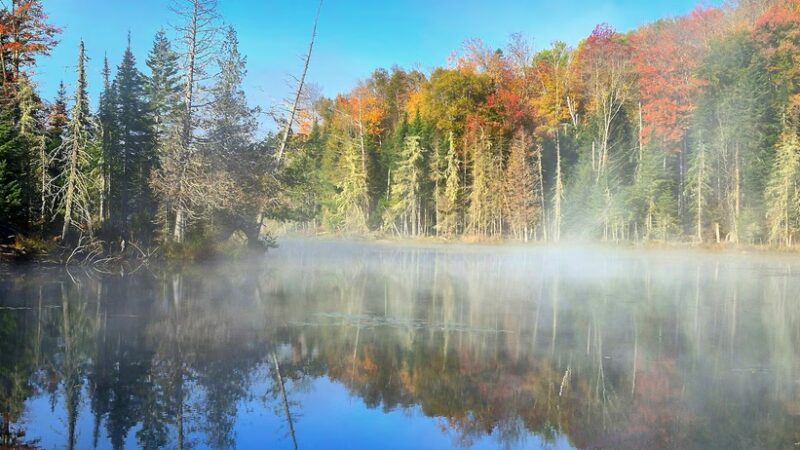 Indian Lake Public Beach - Indian Lake, NY