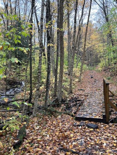 OK Slip Falls Trailhead Parking - Indian Lake, NY