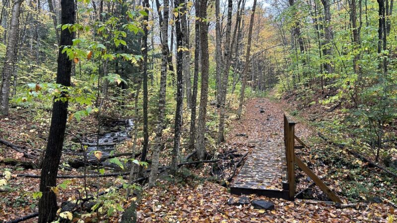 OK Slip Falls Trailhead Parking - Indian Lake, NY