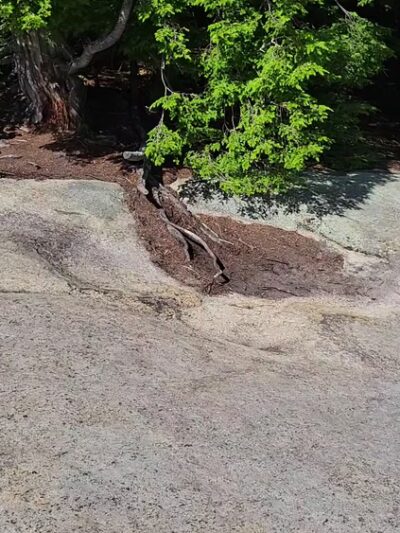 Watch Hill Trailhead - Indian Lake, NY