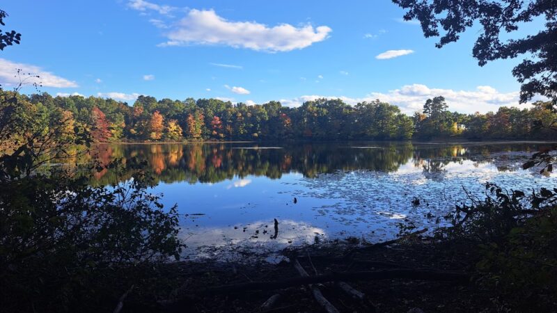 Hubbard Park - Indian Orchard, MA
