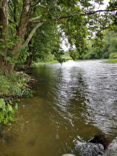 Blickman Educational Trail Park - Indianapolis, IN