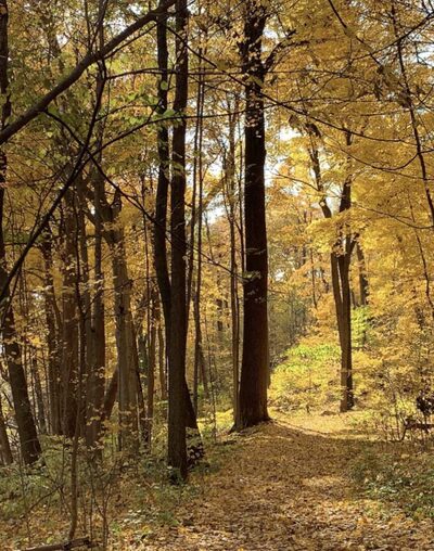 Blickman Educational Trail Park - Indianapolis, IN